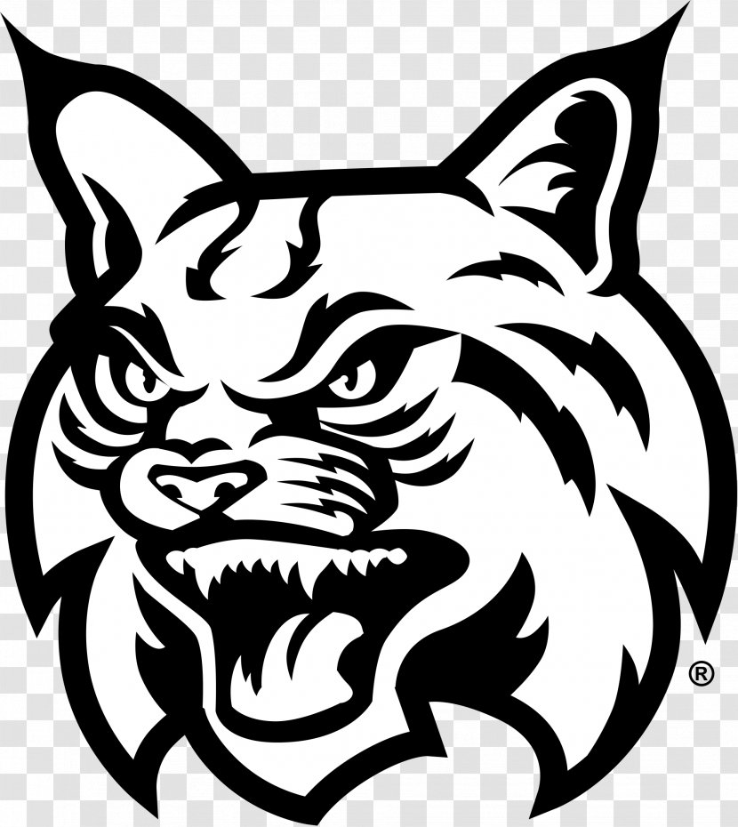 East Georgia State College Statesboro Texas Bobcats Baseball Highlands Chattahoochee Technical - Mammal - Festivals Wordart Transparent PNG