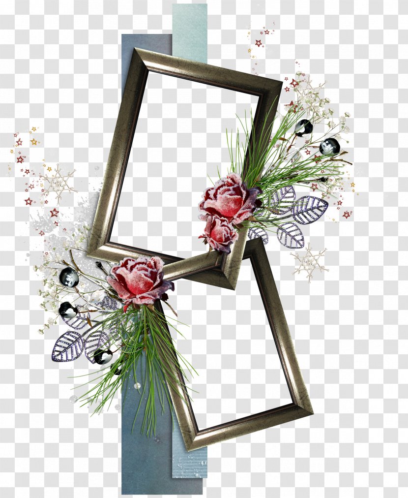 Picture Frames Photography Flower - Flora - Winter Transparent PNG