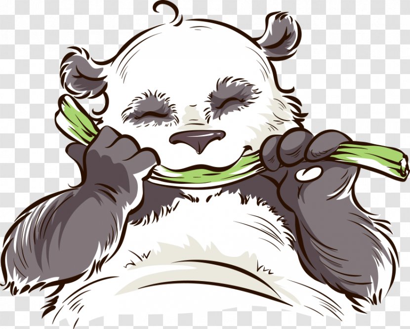 Giant Panda Red Cuteness Bamboo - Cat Like Mammal - Vector Eating Transparent PNG