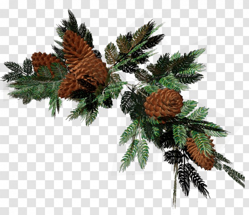 Pine Spruce Conifers Fir Christmas Decoration - Garland Transparent PNG