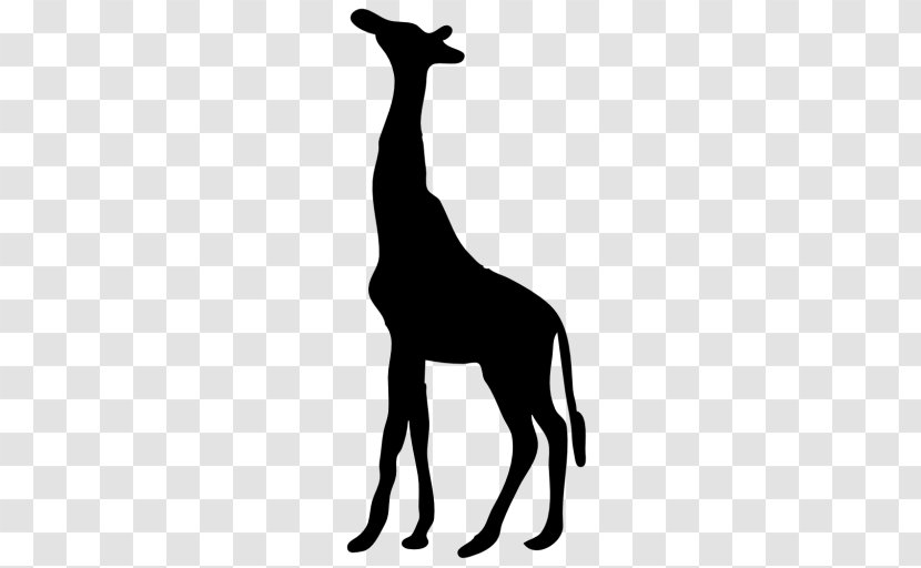 Giraffe Clip Art - Horse Like Mammal Transparent PNG