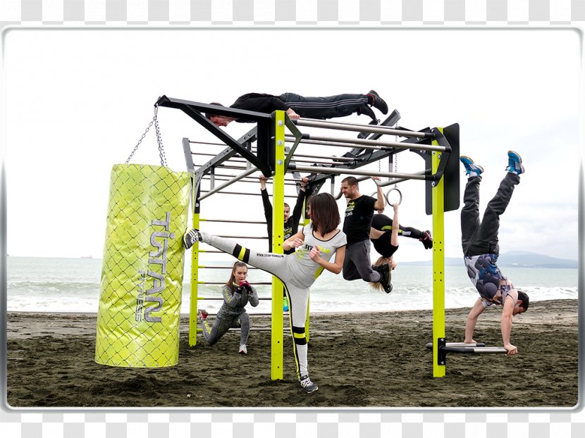 Playground Swing Tree Transparent PNG
