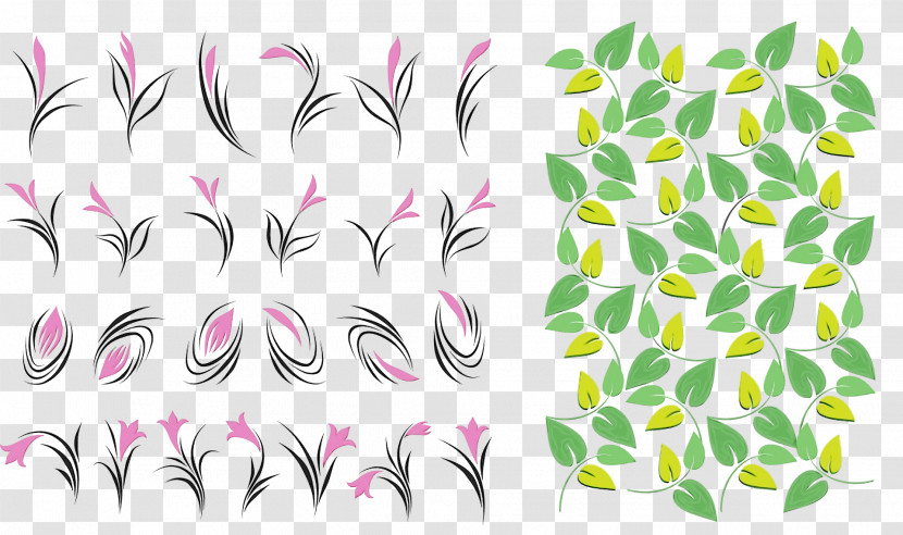 Leaf Flower Petal Plant Stem Branch Transparent PNG