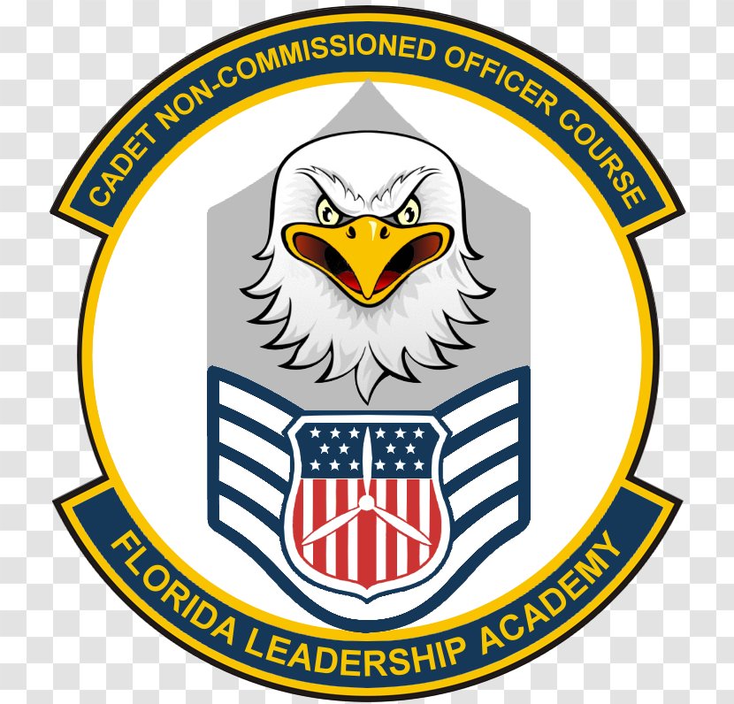 Chief Master Sergeant Of The Air Force United States Enlisted Rank Insignia Senior - Non Commissioned Officer Transparent PNG
