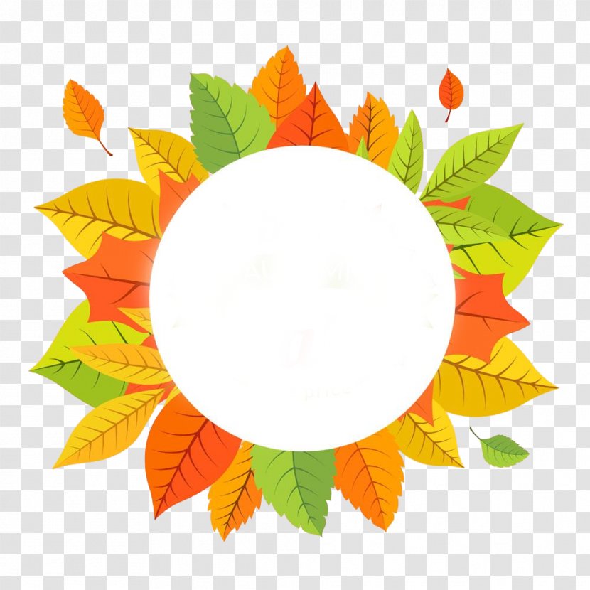 Circle Maple Leaf - Flower - Autumn Leaves Yellow Transparent PNG
