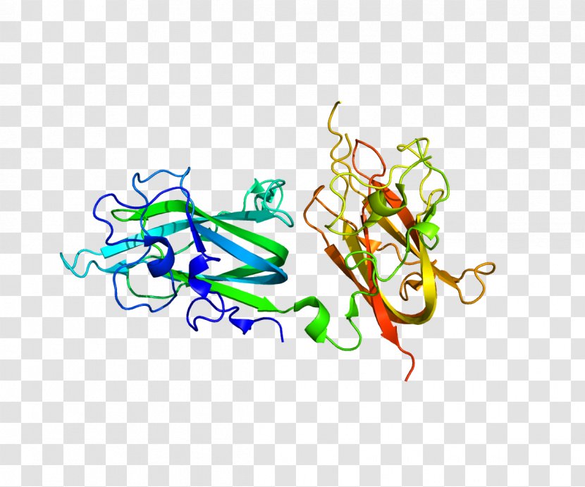 Neuropilin 2 1 Protein Semaphorin - Tree - Silhouette Transparent PNG