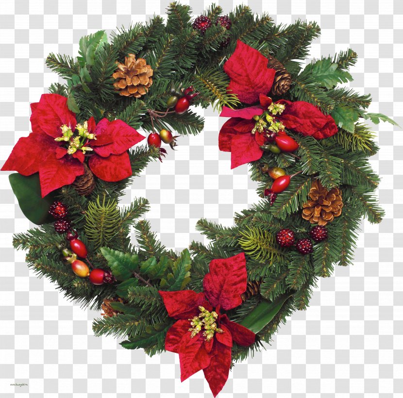 A Christmas Carol The American Album Tree - Flower - Green Wreath Transparent PNG