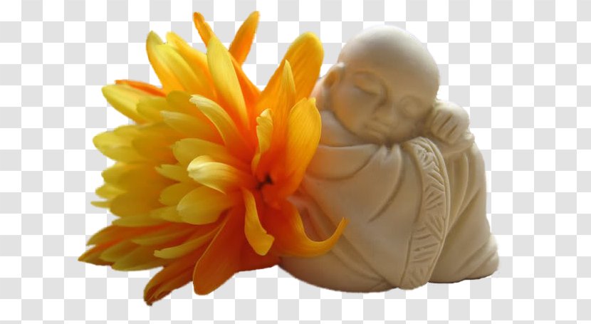 Buddhism Buddhahood Meditation Zen Dharma - Buddhas Enlightenment Transparent PNG
