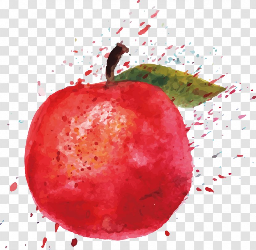 Watercolor Painting Apple Cartoon Illustration - Local Food Transparent PNG