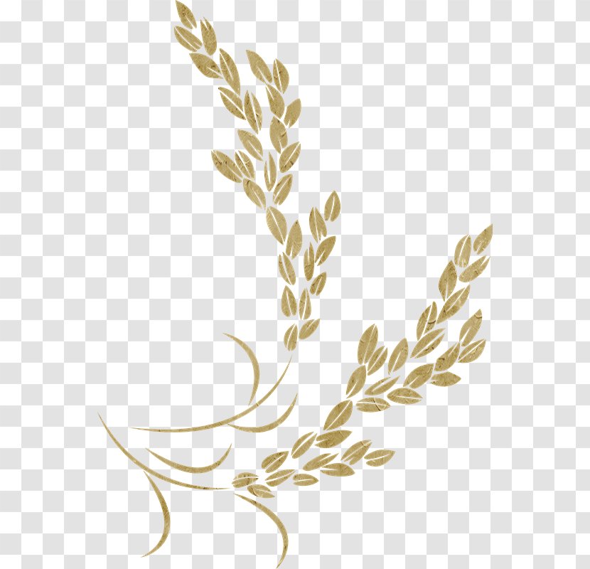 Golden Rice Icon Transparent PNG