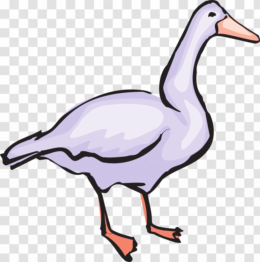 Goose Bird Clip Art - Animal Figure Transparent PNG