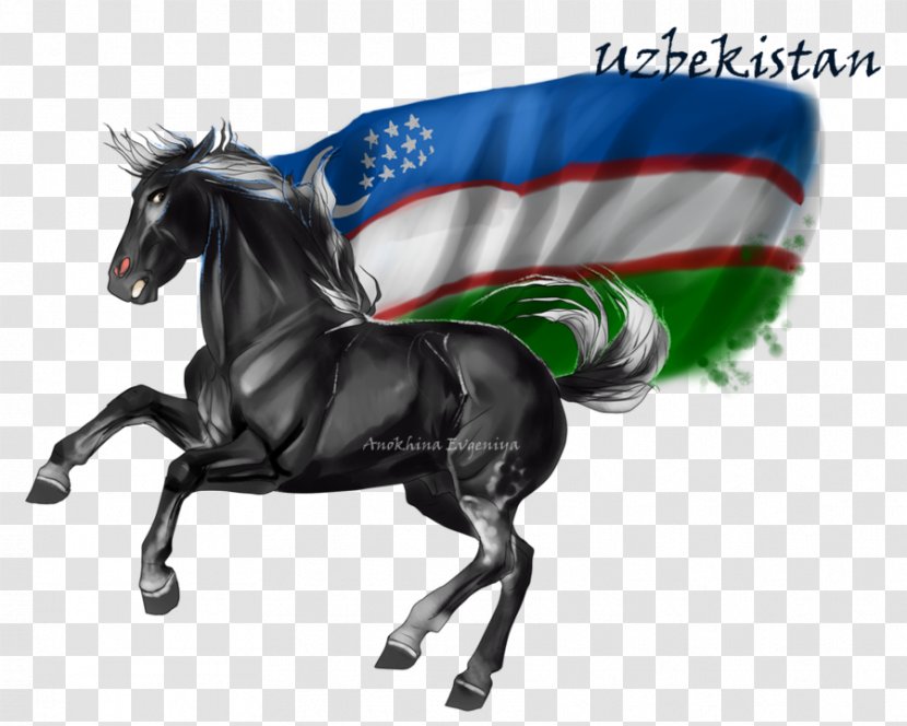 Horse & Hound Stallion Uzbekistan DeviantArt - Equestrian Sport Transparent PNG