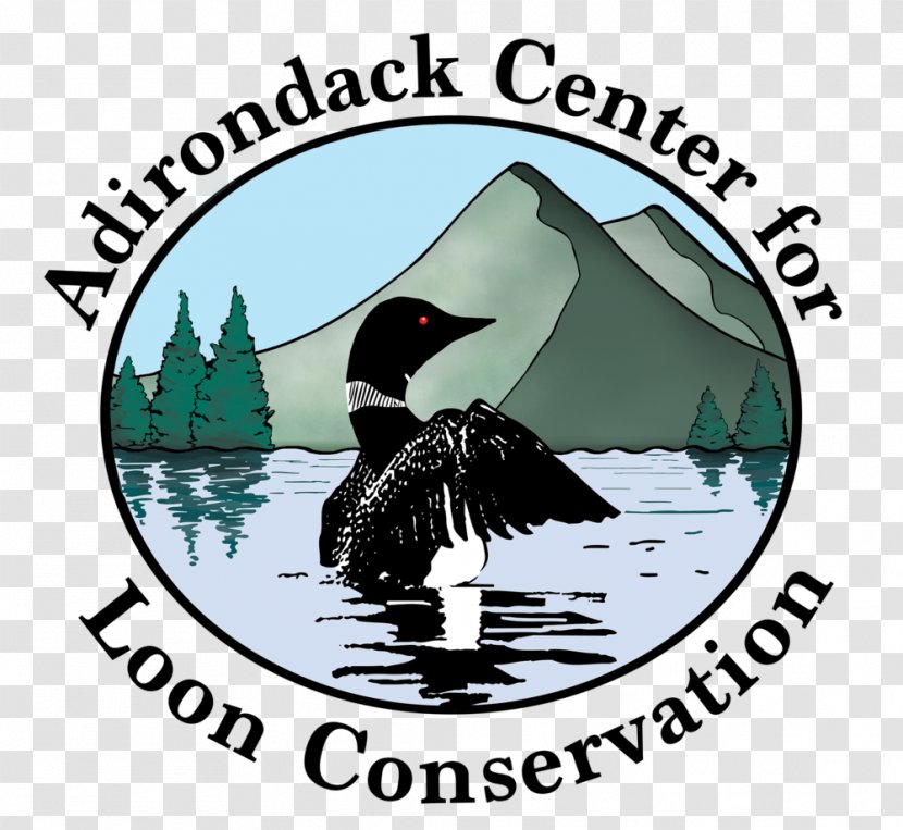 Adirondack Camps Center For Loon Conservation Loons Water Bird - Label - Mountains Transparent PNG
