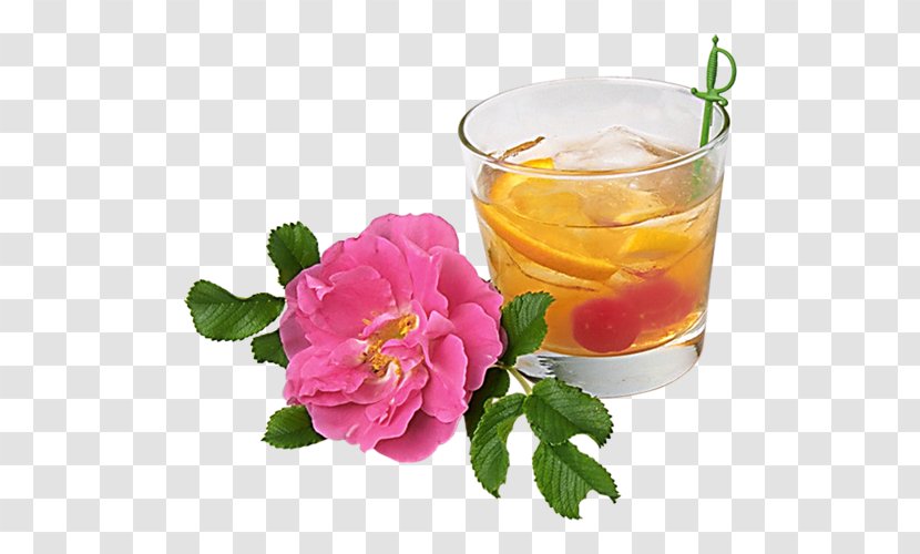Cocktail Juice Drink Birthday Pub Crawl - Wine Glass - Flowers Decorated In Orange Transparent PNG