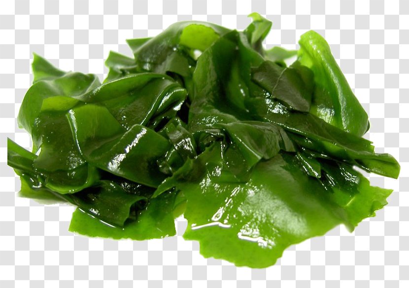 Wakame Edible Seaweed Food Kelp - Diet - Vegetable Transparent PNG