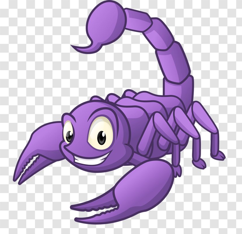 Scorpion Stock Photography Clip Art - Illustration - Purple Transparent PNG