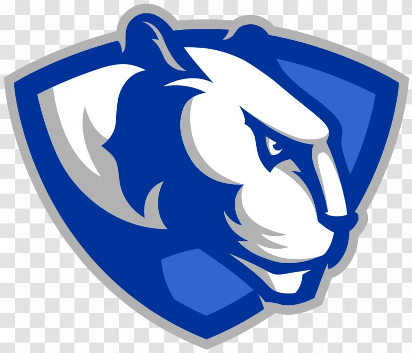 Eastern Illinois University Panthers Men's Basketball Northern Of At Chicago Football - Charleston Transparent PNG