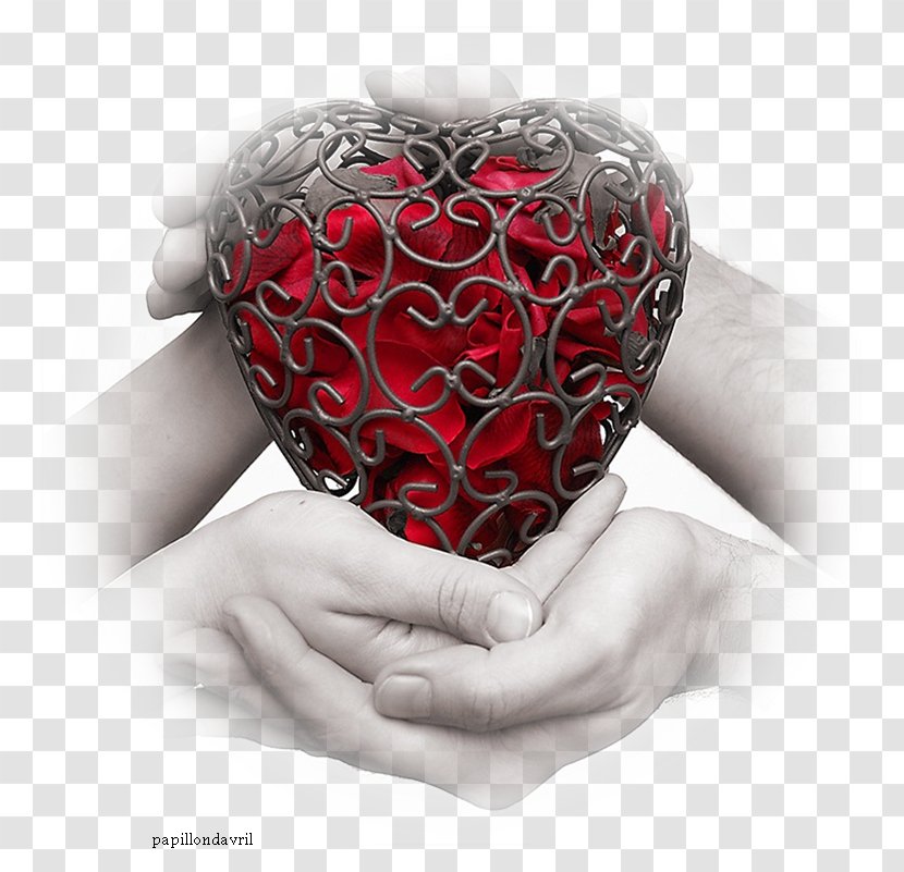 Animated Film Love Heart - Friendship Day Transparent PNG