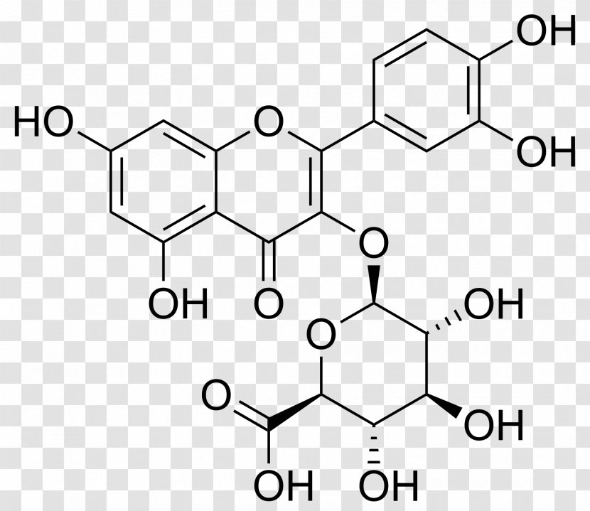 Quercetin Glycoside Flavonoid Glucoside Myricetin - Rectangle - Text Transparent PNG