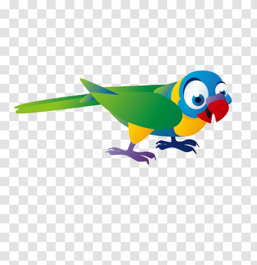 T-shirt Monk Parakeet Bxe1seu0148 Cuento Infantil Child - Literature - Parrot Transparent PNG