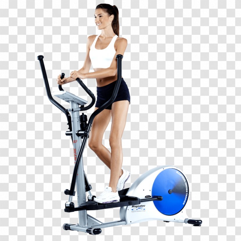 Elliptical Trainers Indoor Rower Exercise Bikes Physical Fitness Aerobic - Watercolor - Tree Transparent PNG