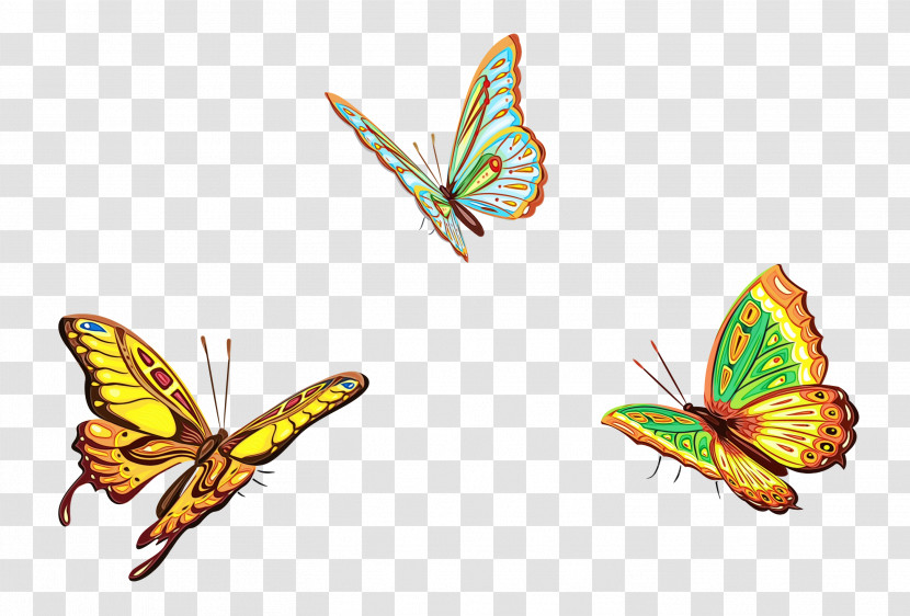 Butterfly Insect Moths And Butterflies Pollinator Wing Transparent PNG