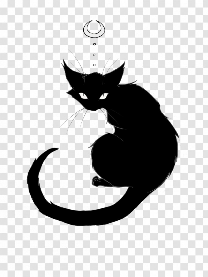 Cat Whiskers Kitten - Pet - Black Transparent PNG