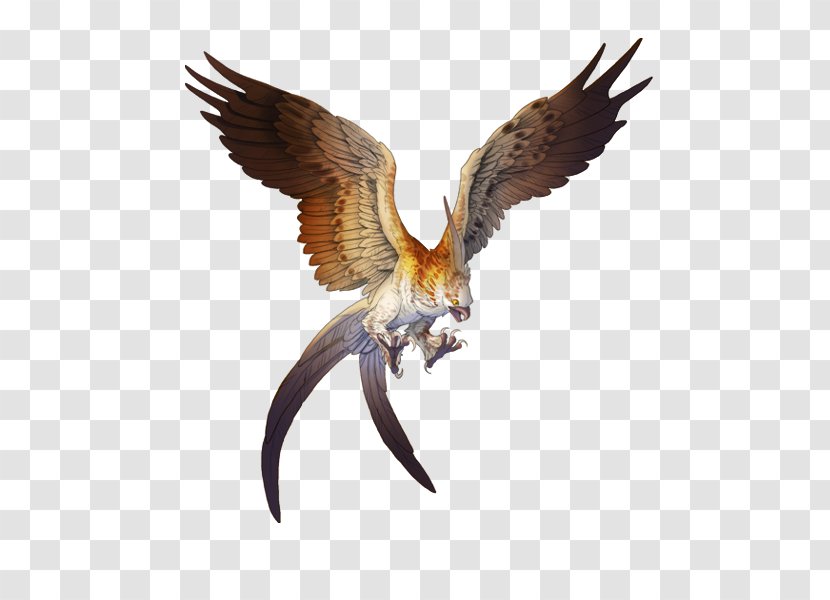 Hawk Golden Eagle Bird Bald - Of Prey Transparent PNG