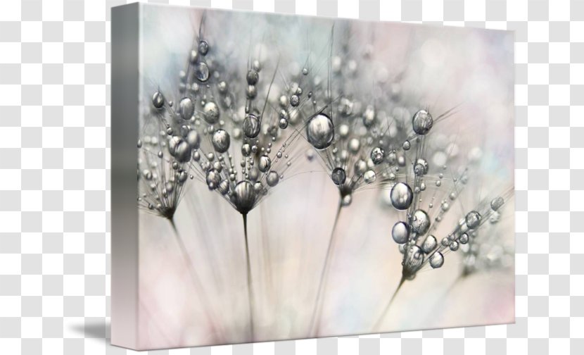 Gallery Wrap Canvas Stock Photography Art - Party - Jewellery Transparent PNG