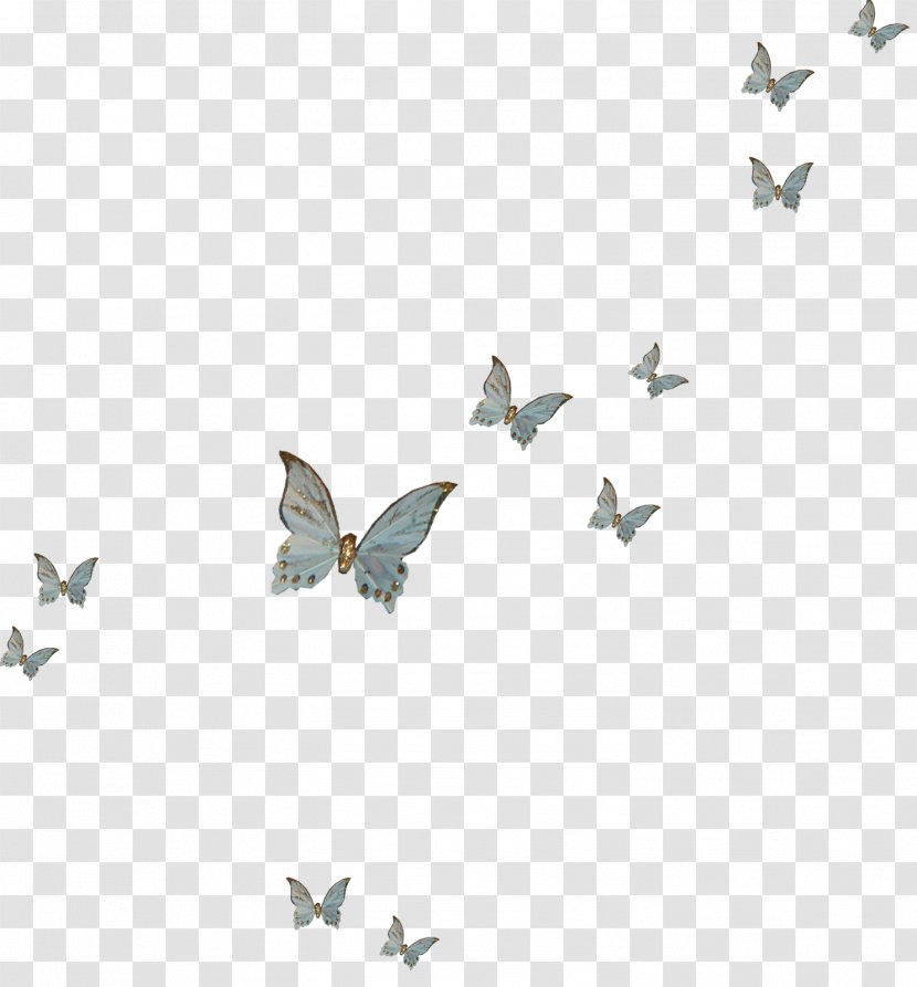 Butterfly Insect - Moths And Butterflies - Fly Transparent PNG