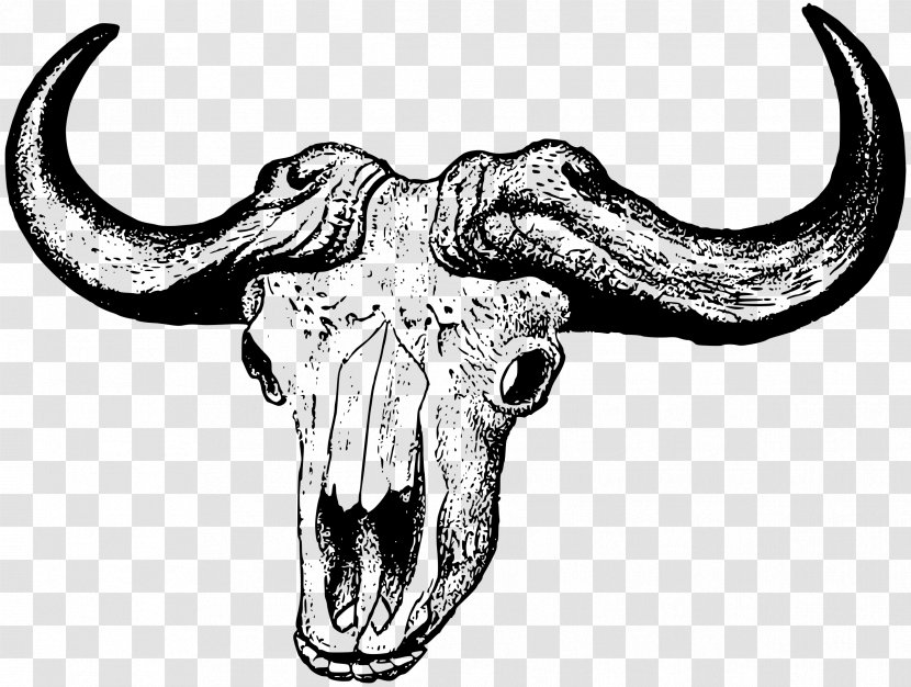 Skull Clip Art - Black And White - Buffalo Transparent PNG