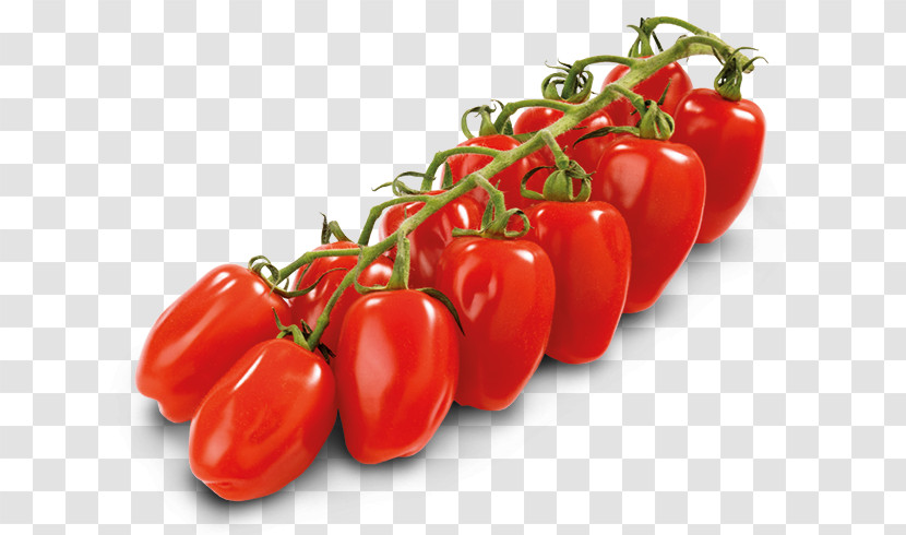 Tomato Transparent PNG