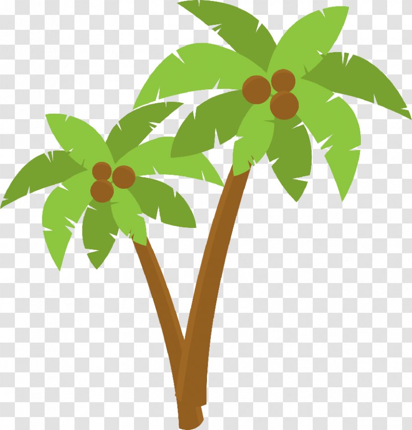 Arecaceae Coconut Clip Art - Moana Transparent PNG