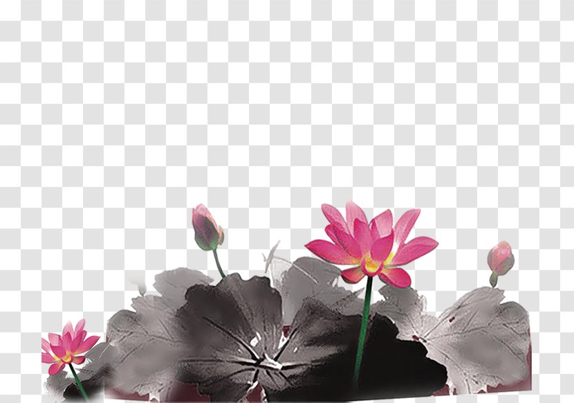 Ink Wash Painting - Software - Lotus Leaf Transparent PNG