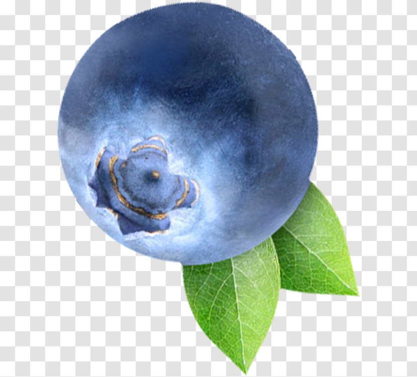 Blueberry Bilberry Fruit - Cartoon - Delicious And Attractive Transparent PNG