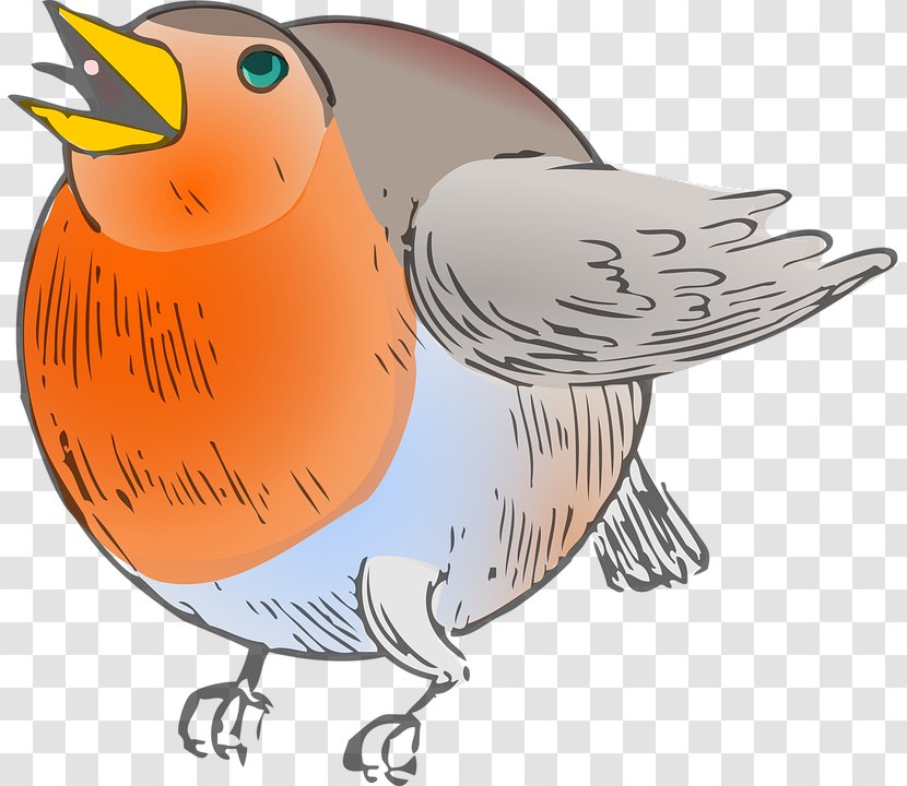 European Robin Round-robin Scheduling DNS Clip Art - Galliformes - Bird Cartoon Transparent PNG