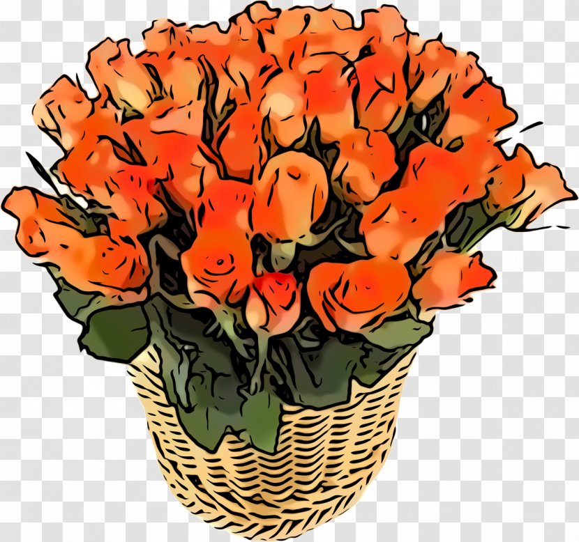 Orange - Rose - Herbaceous Plant Transparent PNG