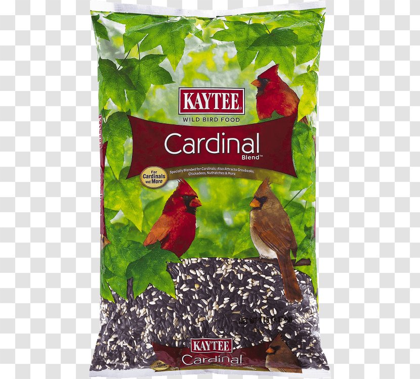 Bird Food Kaytee Cardinal Caraway Seed Cake - Beak Transparent PNG