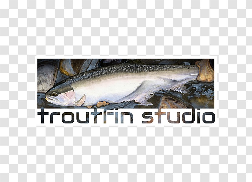 Sardine Fish Products Coho Salmon Trout Mackerel - Fauna Transparent PNG