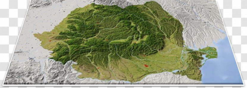 Terrain Ilfov County Map Geography Landform - Romania - Natural Hazard Transparent PNG