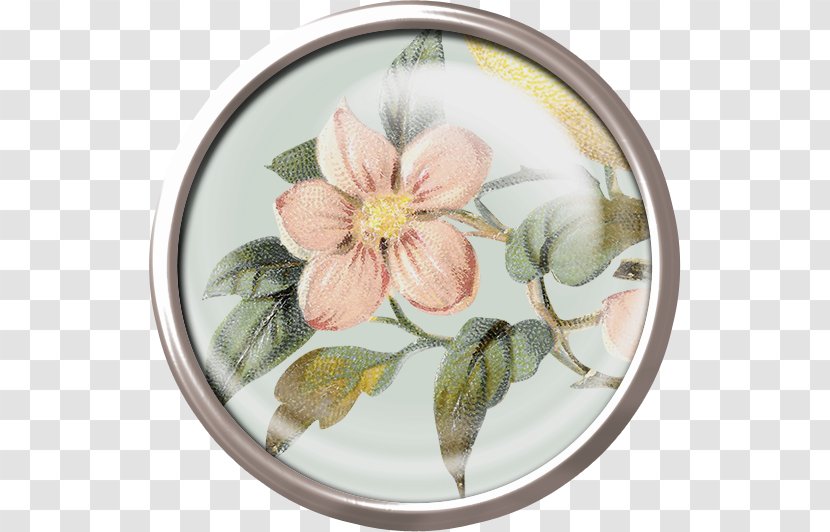 Flower Mirror - Pink Flowers Transparent PNG