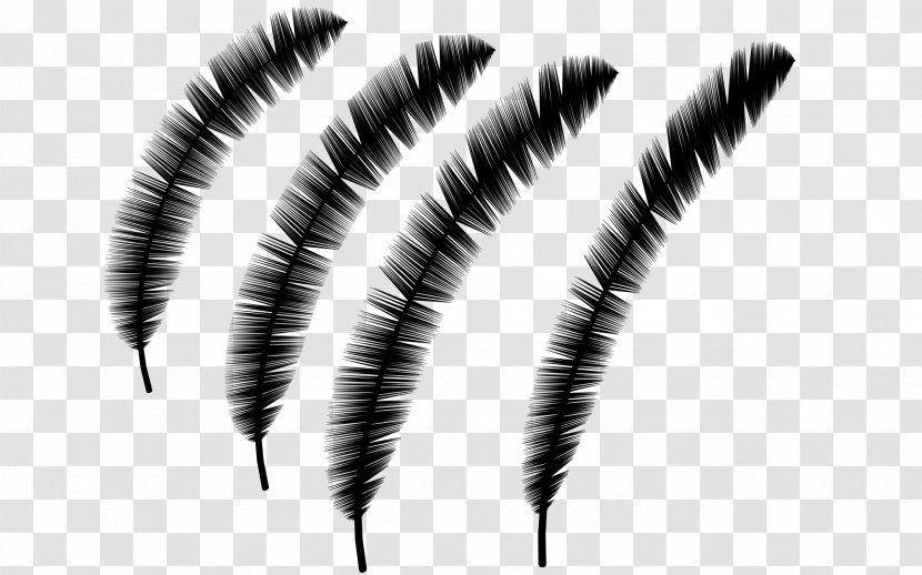 Black & White - Eyebrow - M Feather Transparent PNG