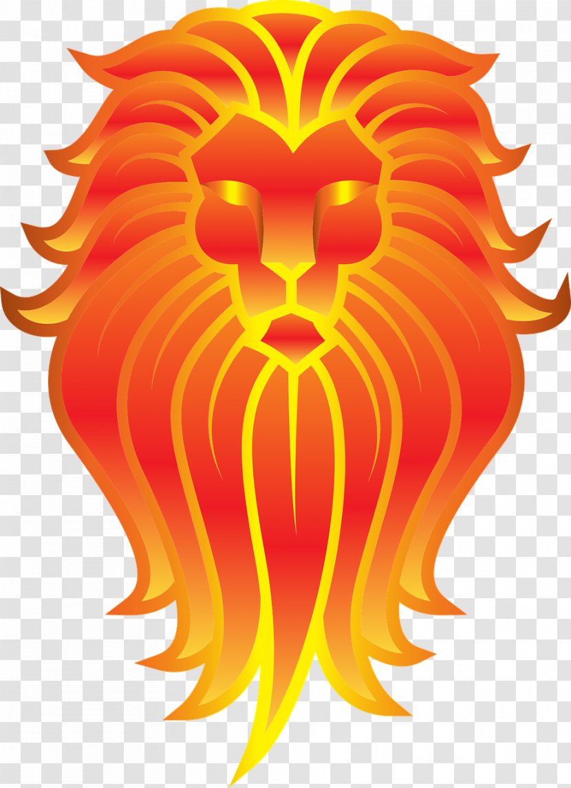 Lionhead Rabbit Tiger Felidae Cat - Animal - Lion Transparent PNG