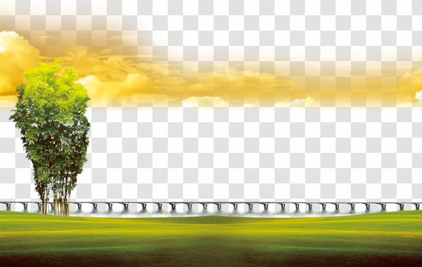 Highway Wallpaper - Computer - Green Background Transparent PNG