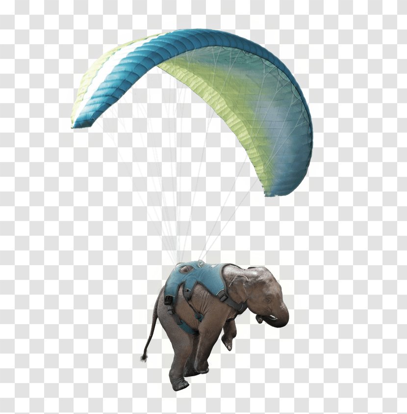 Air Sports Parachute Paragliding Parachuting Windsport - Elephant Motif Transparent PNG