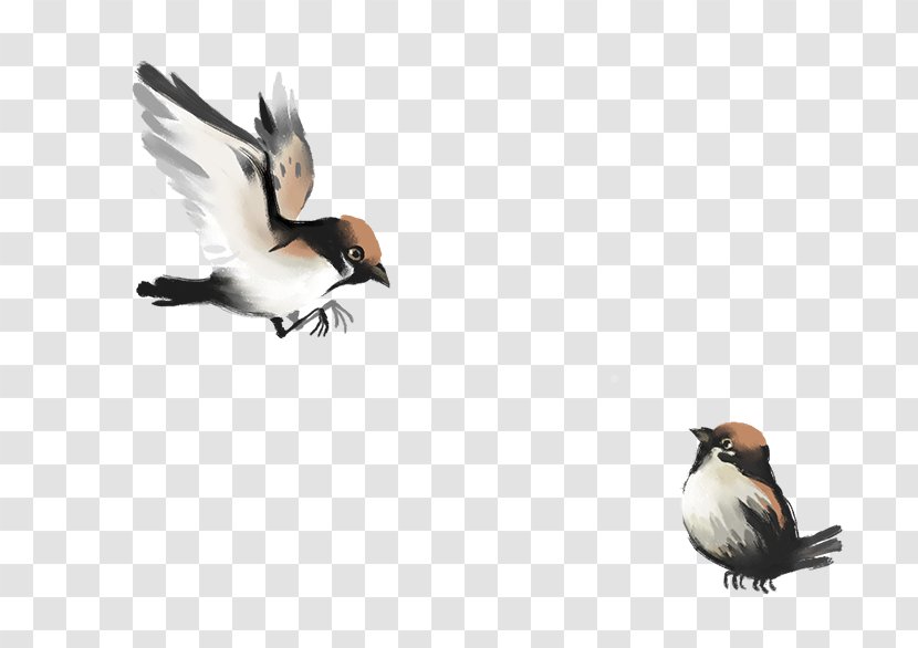 IPhone 6 China Bird Chinese Painting - Ducks Geese And Swans - Birds Transparent PNG