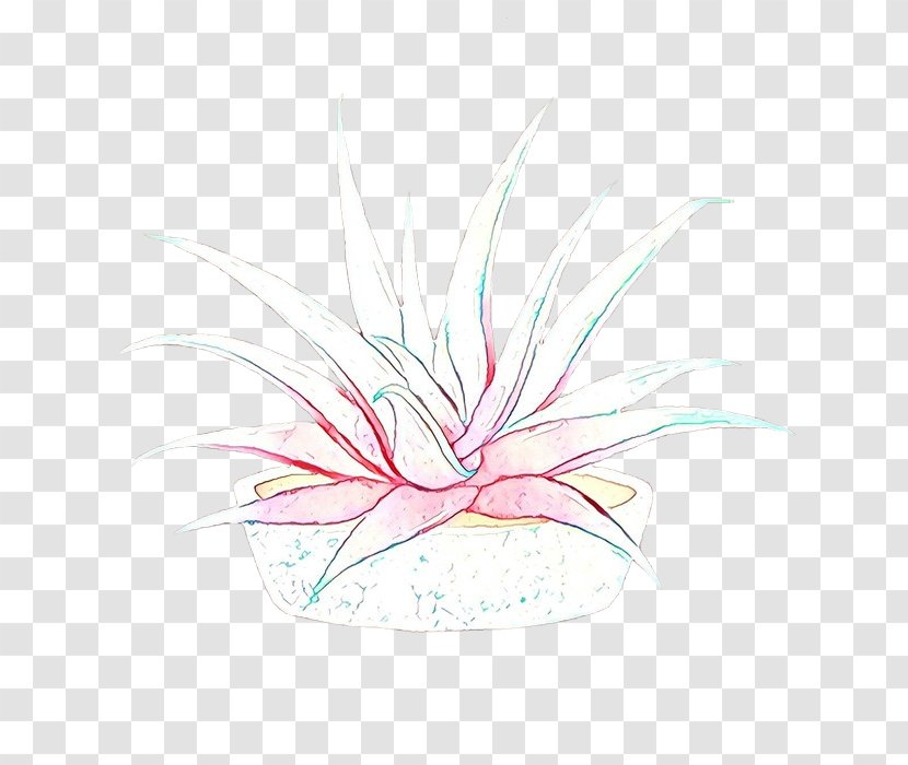 Pink Line Plant Graphic Design Flower - Cartoon Transparent PNG