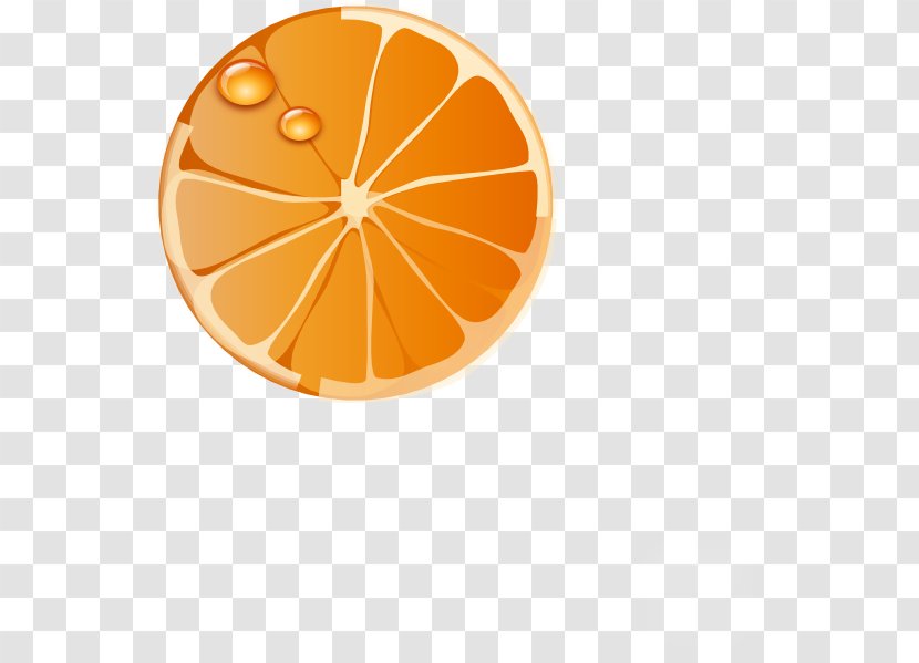 Orange Juice Slice Clip Art - Food Transparent PNG