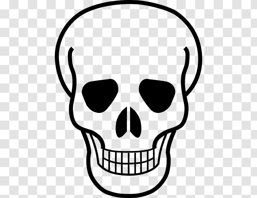 Skull And Crossbones Bones Logo - Bone Transparent PNG