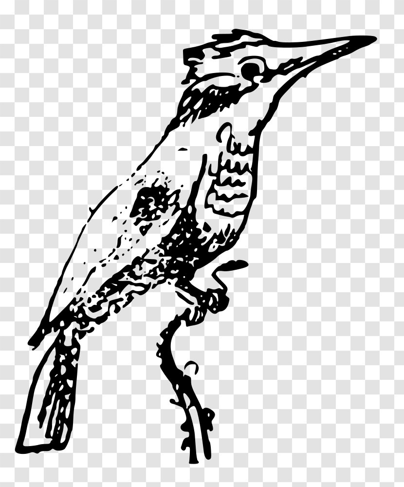 Kingfisher Clip Art - Tree - Flock Of Birds Transparent PNG